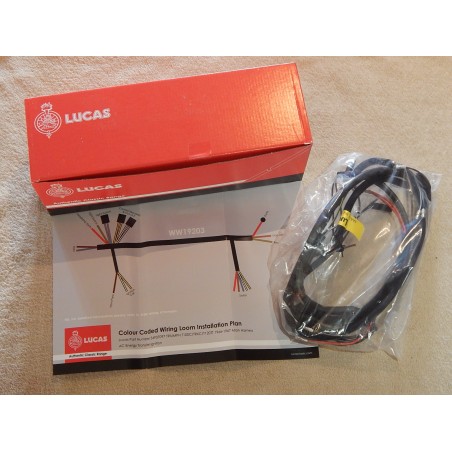Faisceau Électrique Lucas pour Triumph T100C, TR6C, T120TT Avec Allumage E.T. 1966-67