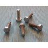 Boulon 5/16" CEI x 1" x 5